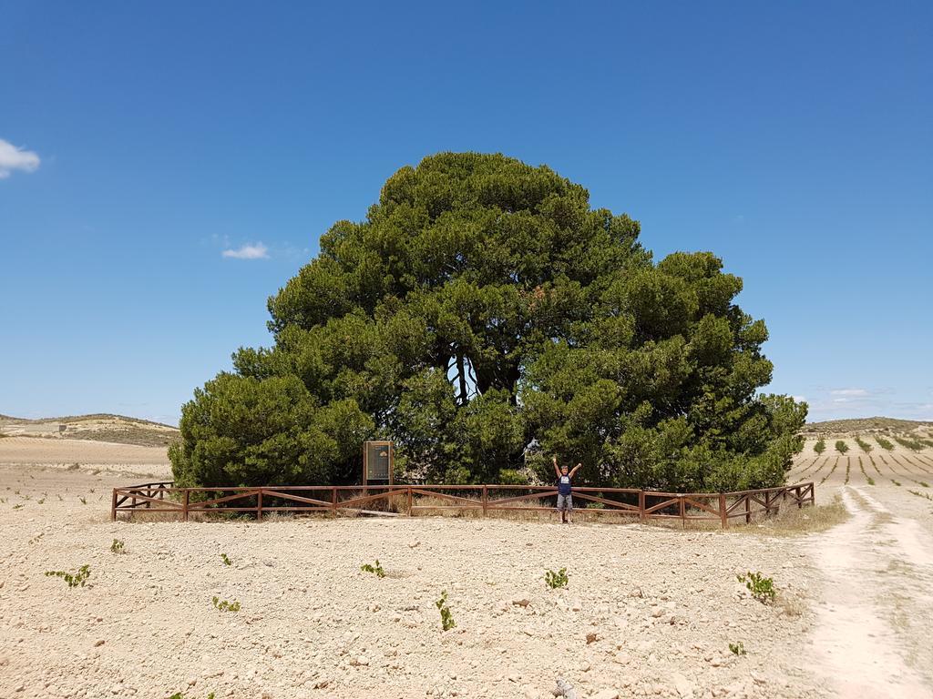 Cortijo De Los Castellanos Las Ventanas Extérieur photo
